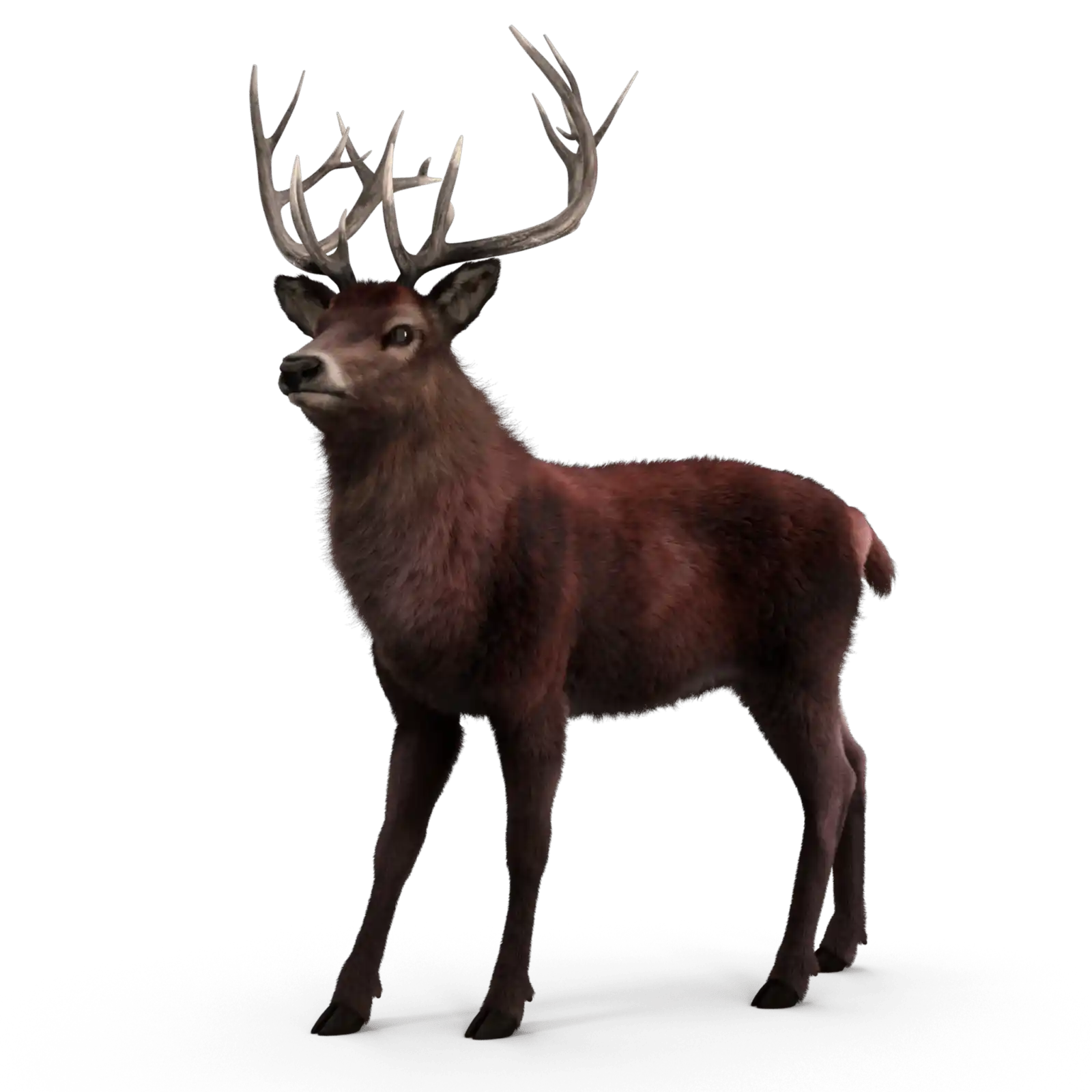 Leaap Media, marketing agency that packs a punch + a profit